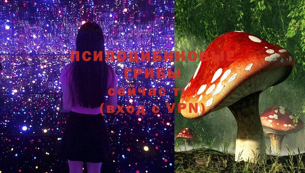 меф Пересвет