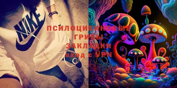 меф Пересвет