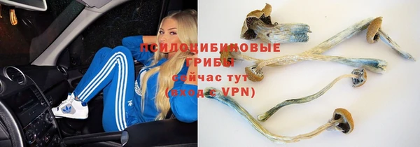 меф Пересвет