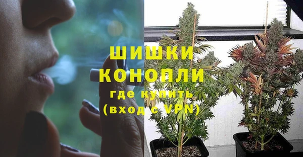 меф Пересвет