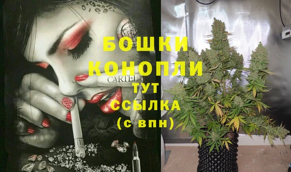 меф Пересвет