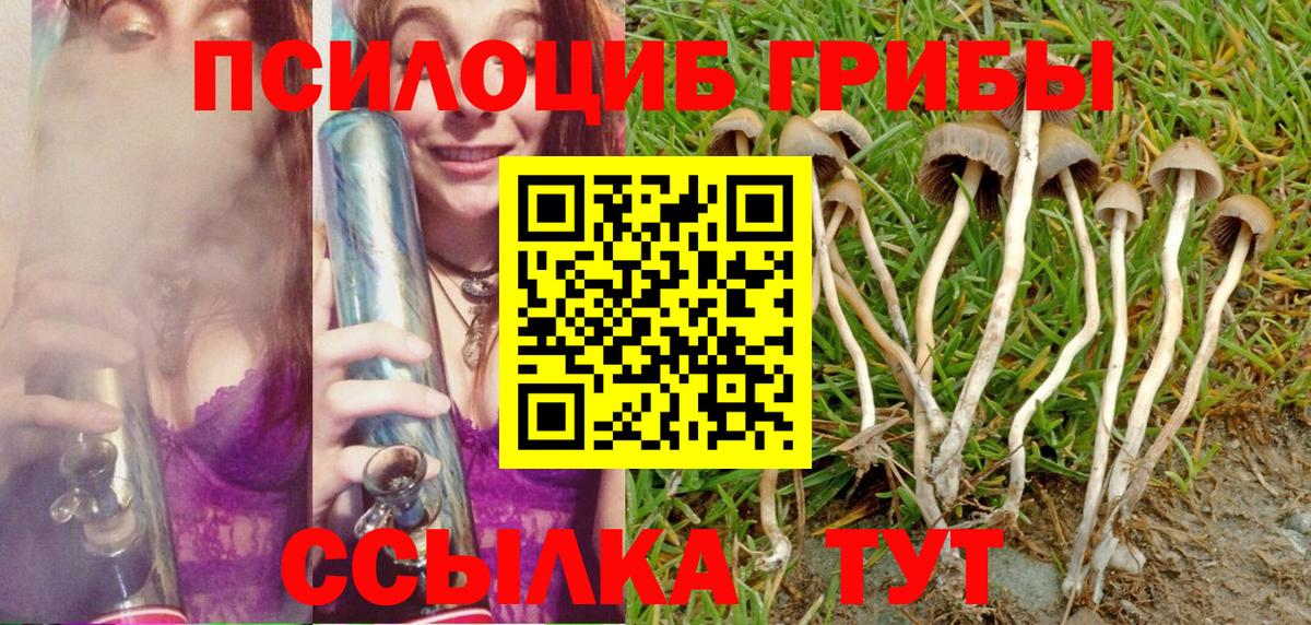 Галлюциногенные грибы MAGIC MUSHROOMS Сыктывкар