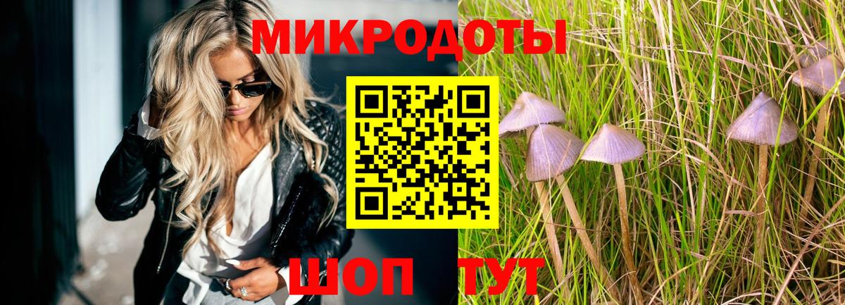 Сыктывкар  Псилоцибиновые грибы мухоморы  Вход с VPN 