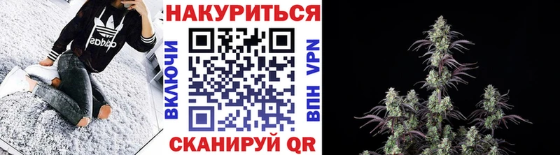 магазин  наркотиков  Сыктывкар  ссылка на мегу вход  Конопля White Widow 